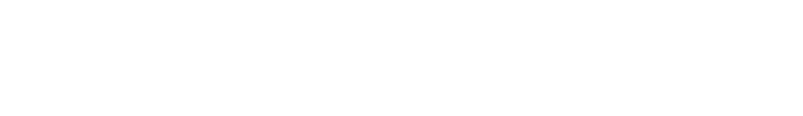 ExciteWave wordmark, white